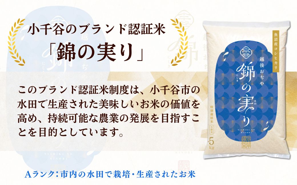 【コシヒカリ】令和7年産 魚沼産コシヒカリ 定期便 ブランド認証米 錦の実り Aランク 精米10kg (5kg×毎月全2回)  農薬化学肥料肥料5割減 品質管理 | 特A評価 新潟産コシヒカリ 新潟県産コシヒカリ 魚沼産こしひかり 米 お米 こしひかり 白米 精米 ブランド米【0002-OBa17DB00】