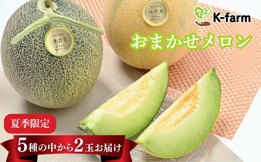 【先行予約 数量限定】K-farmのおまかせメロン2玉 【0054-0001-02】