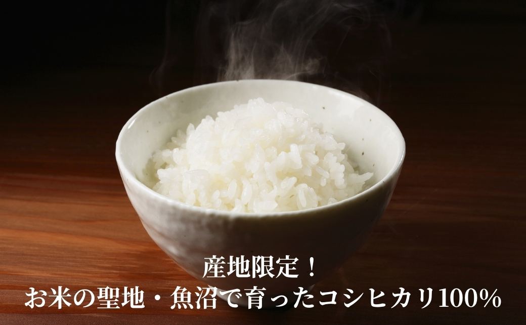 パックご飯 魚沼産コシヒカリ 30個 たかの | パックご飯 パックライス ご飯 ご飯パック ごはんパック パック レトルト 米 白米 魚沼産こしひかり レンジで簡単 炊きたて食感 ふっくら 新潟県 小千谷市