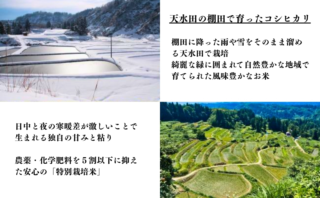 【数量限定】 令和7年産 特別栽培米 魚沼産コシヒカリ「冬井のかがやき米」 3kg(3kg×1袋) 甘み 粘り アスカ冬井 【0002-0001-02】
