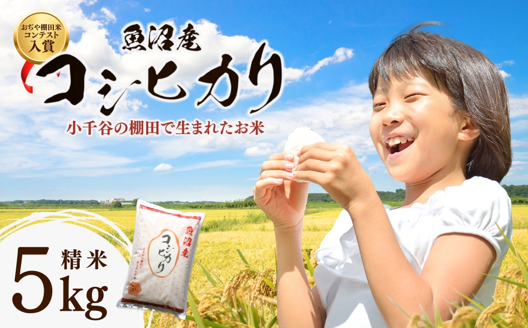 令和7年産 魚沼産コシヒカリ おぢや棚田米コンテスト入賞者の栽培した棚田米 精米5kg（5kg×1袋）【0002-RC01-02】