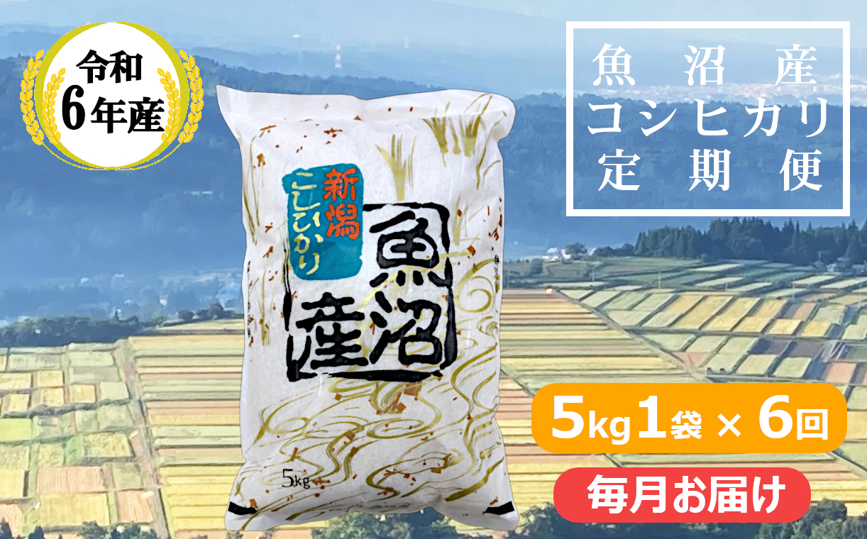 KY87P409 【共栄農工社】 令和6年産 魚沼産コシヒカリ 定期便5kg×6回／毎月お届け 白米 魚沼 米 定期便