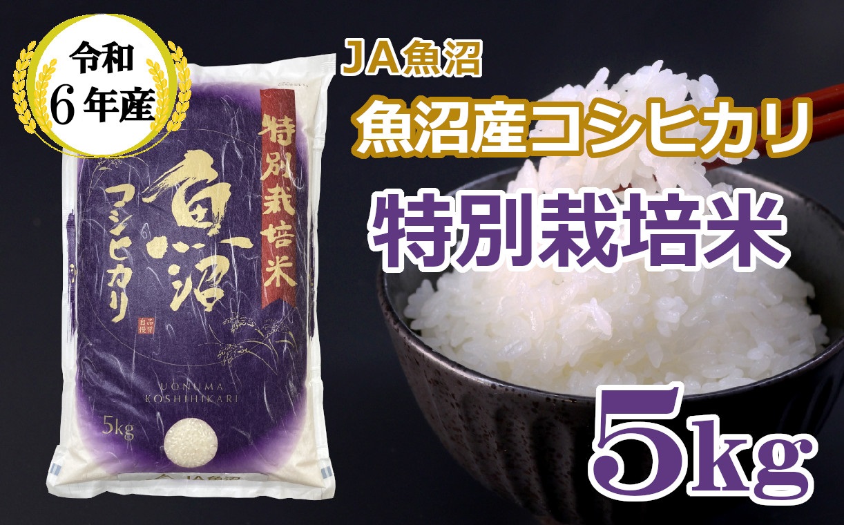 JA15P316 令和6年産 特別栽培米 魚沼産コシヒカリ5kg 令和6年10月下旬頃から受付順に発送予定 JA魚沼 白米 魚沼 米