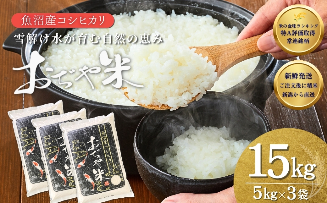 令和7年産 魚沼産コシヒカリ「おぢや米」 計15kg（5kg×3袋）JA魚沼【0002-JA14-01】
