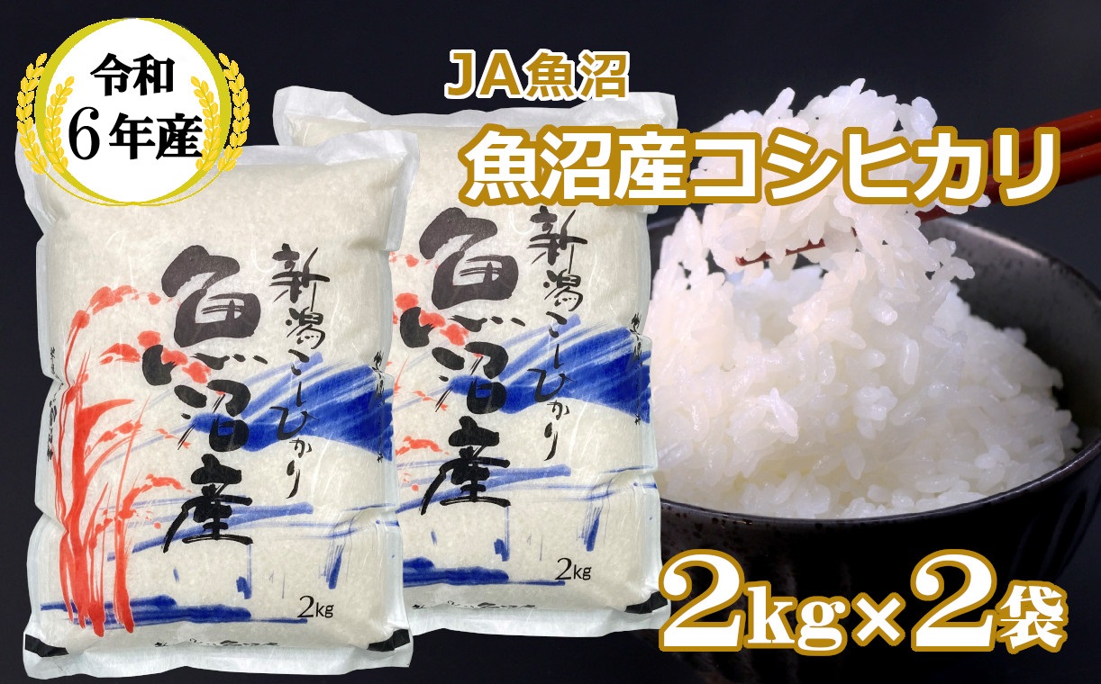 JA13P313 令和6年産魚沼産コシヒカリ2kg×2袋（JA魚沼）白米 魚沼 米