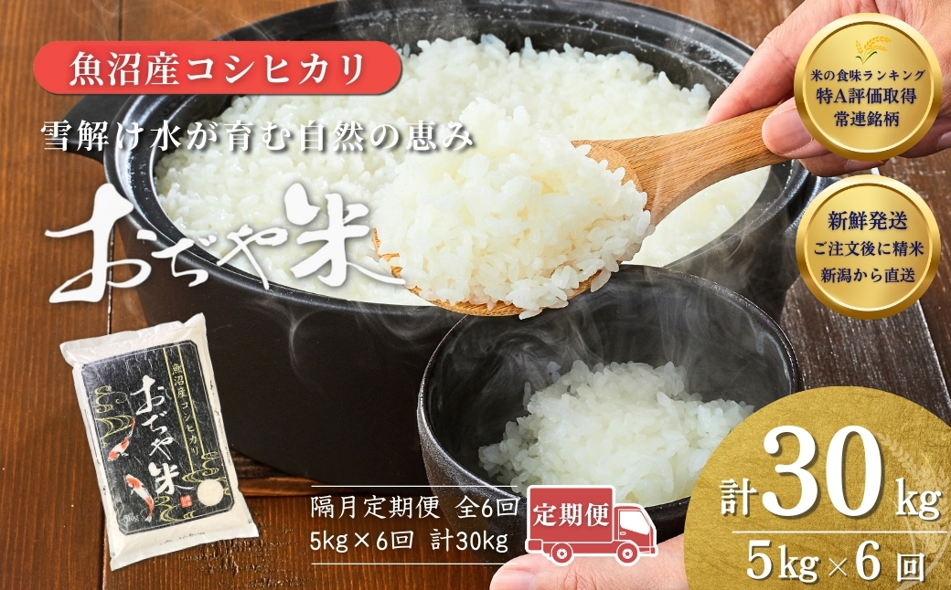 令和7年産魚沼産コシヒカリ定期便 5kg×6回（隔月お届け）JA魚沼 白米 魚沼 米 定期便