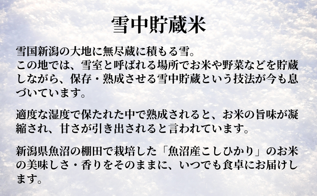 魚沼産コシヒカリ 雪中貯蔵米パックご飯 12個セット ごはんソムリエ監修 たかの 【0002-0195-02】
