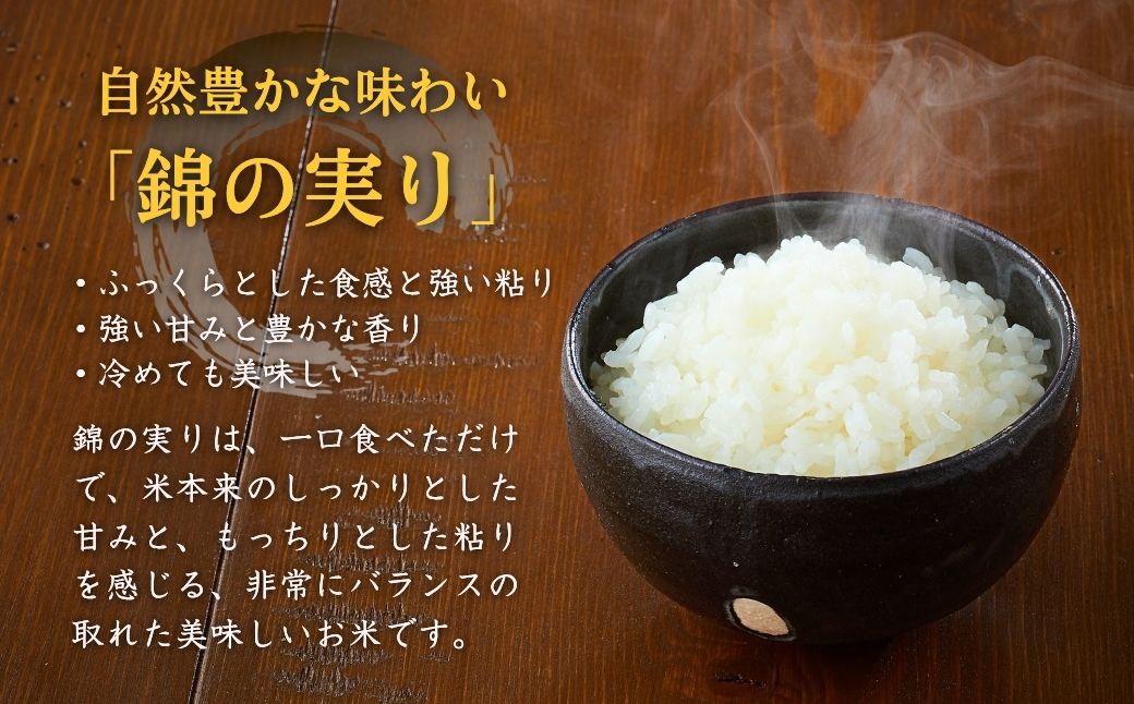 【コシヒカリ】令和7年産 魚沼産コシヒカリ 定期便 ブランド認証米 錦の実り Aランク 精米20kg (5kg×2袋×毎月全2回)  農薬化学肥料肥料5割減 品質管理 | 特A評価 新潟産コシヒカリ 新潟県産コシヒカリ 魚沼産こしひかり 米 お米 こしひかり 白米 精米 ブランド米【0002-OBa18DB00】