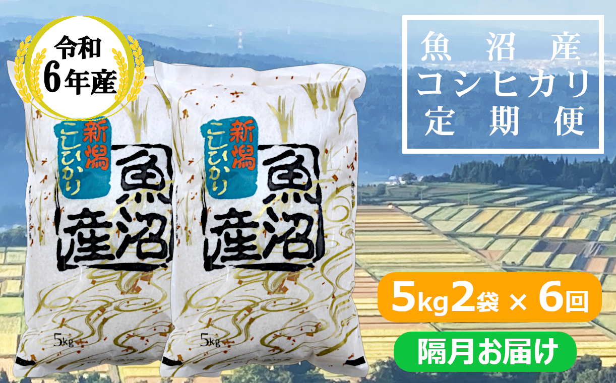 KY173P412 【共栄農工社】 令和6年産 魚沼産コシヒカリ定期便 5kg2袋×6回／隔月お届け 白米 魚沼 米 定期便