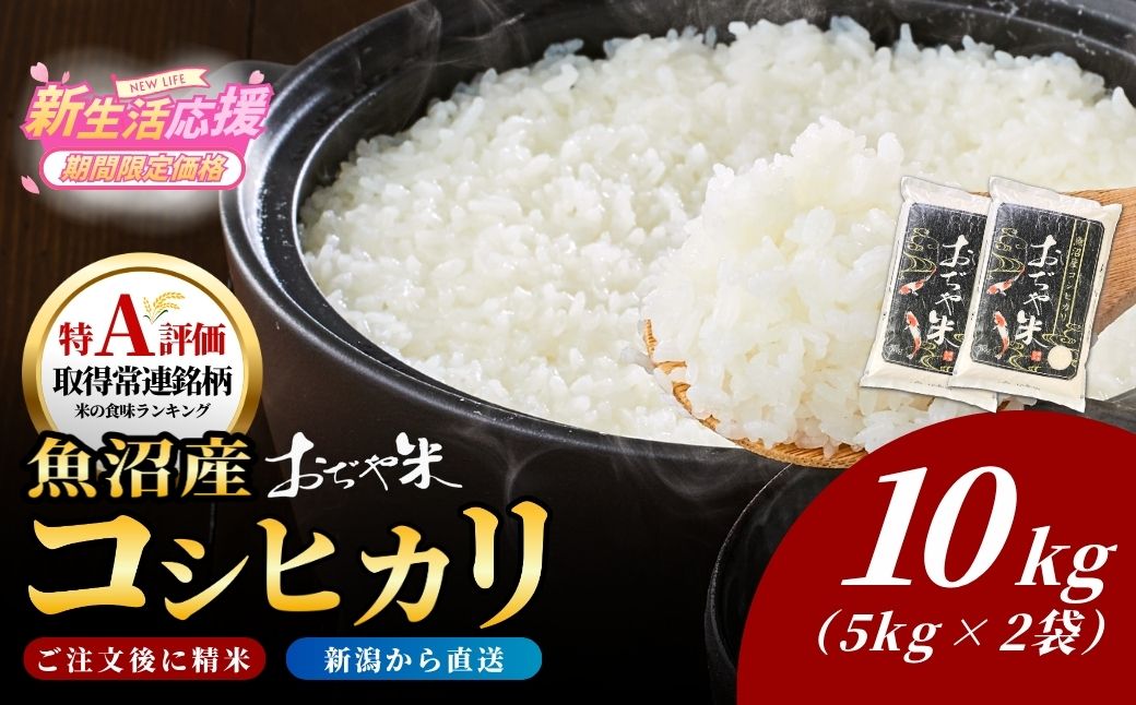 令和7年産 魚沼産コシヒカリ「おぢや米」 計10kg（5kg×2袋）JA魚沼【0002-JA13-02】