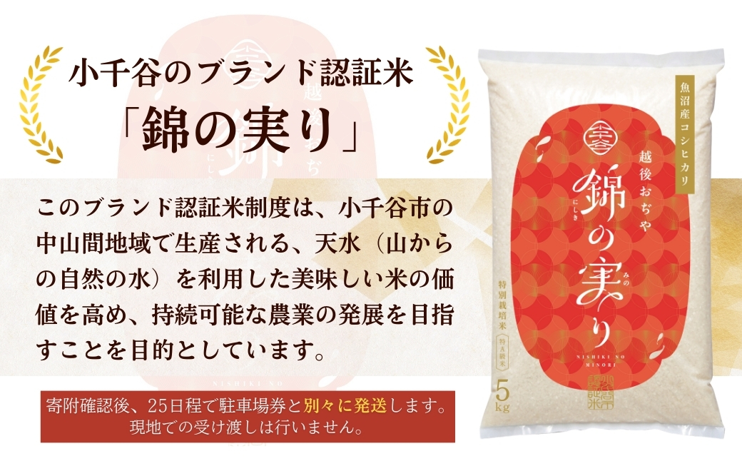 【4月19日(日)開催】中越大震災復興記念祭 ブルーインパルス 駐車チケット&小千谷市認証ブランド米「錦の実り」特A 5kgセット 【駐車エリア 千谷工業団地内】 