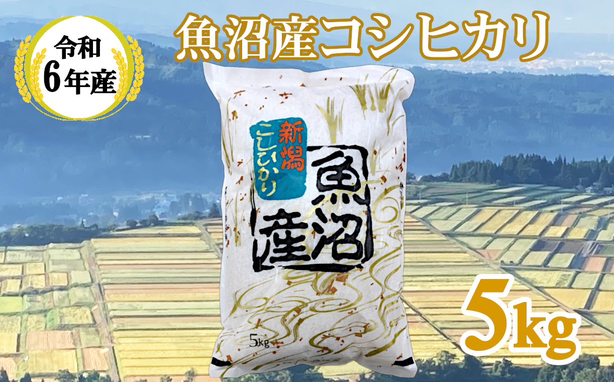 KY15P405 【共栄農工社】 令和6年産 魚沼産コシヒカリ 5kg 白米 魚沼 米