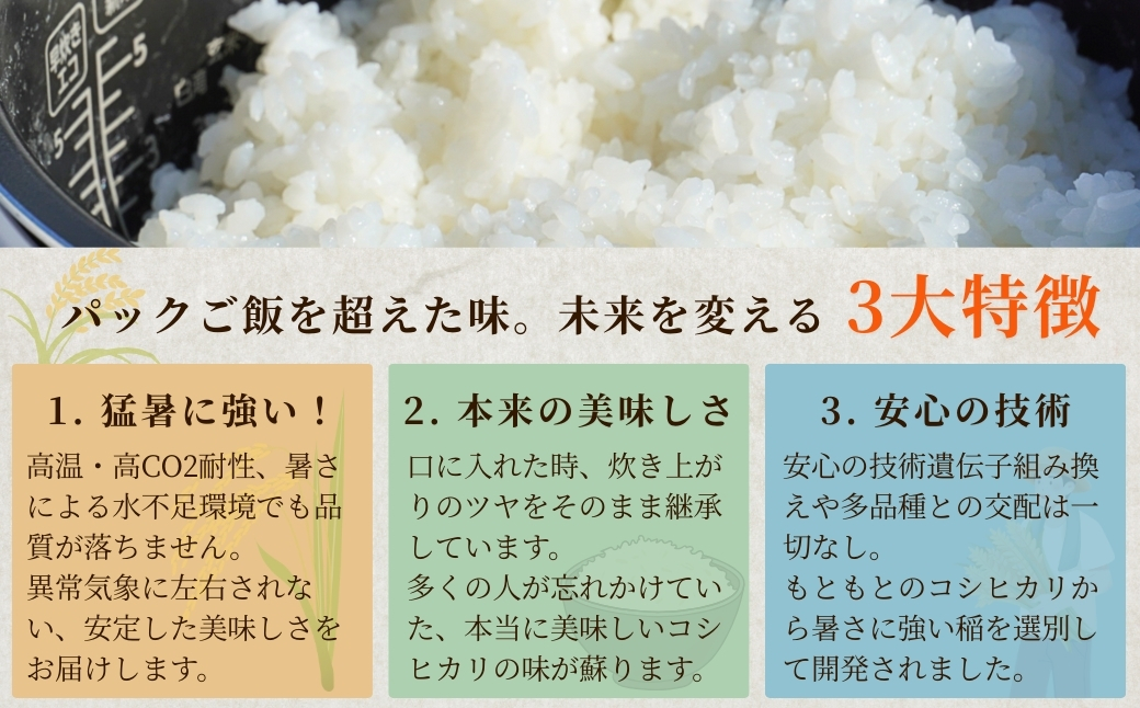 新大コシヒカリ パックご飯 180g×20個 たかの | 新潟県産 コシヒカリ お米 米 こしひかり パックごはん パックライス 小千谷市栽培 開発20年 新潟大学【0002-0429SV02-01】