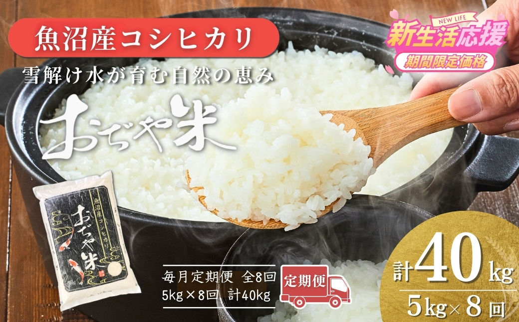 令和7年産魚沼産コシヒカリ定期便 5kg×8回（毎月お届け）（8か月連続お届け）JA魚沼 白米 魚沼 米 定期便