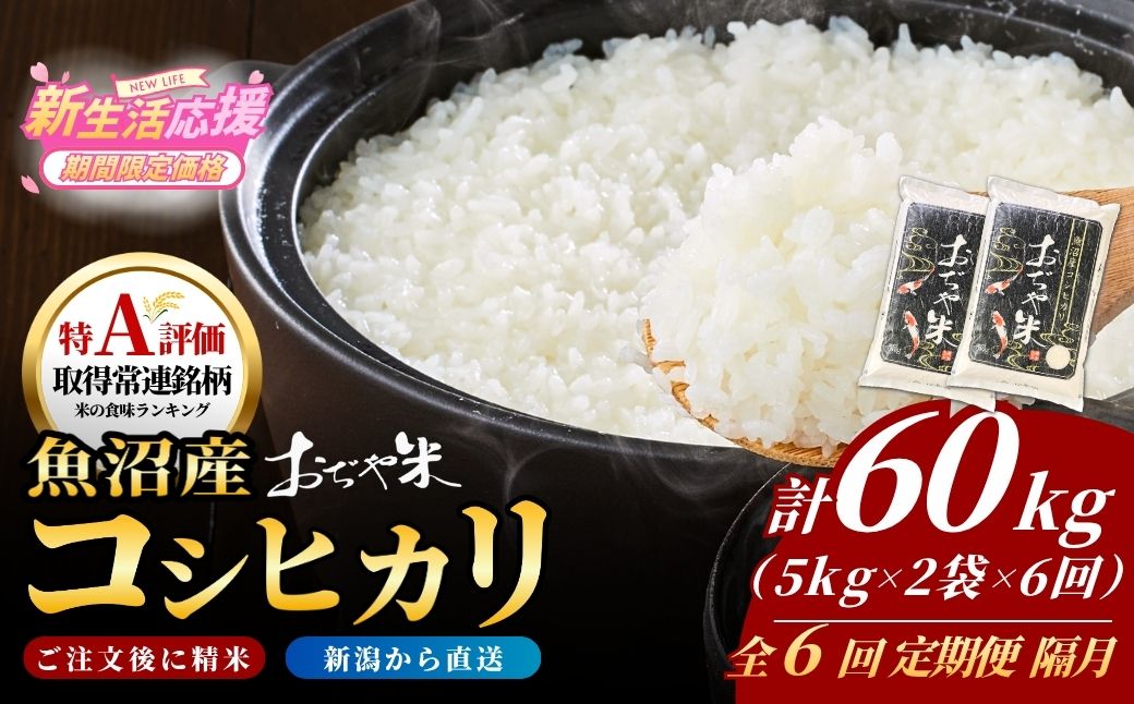 令和7年産 魚沼産コシヒカリ定期便 5kg×2袋×6回（隔月お届け）JA魚沼 白米 魚沼 米 定期便