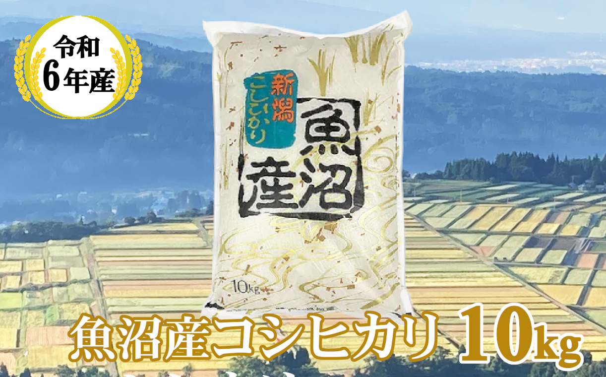 KY29P407 【共栄農工社】令和6年産 魚沼産コシヒカリ10kg 白米 魚沼 米