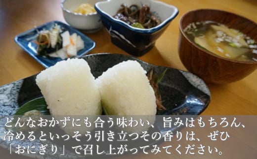 【3か月定期便】 魚沼産コシヒカリ定期便 5kg×3回／毎月 令和7年産 白米 共栄農工社【0002-KY03DB00-01】