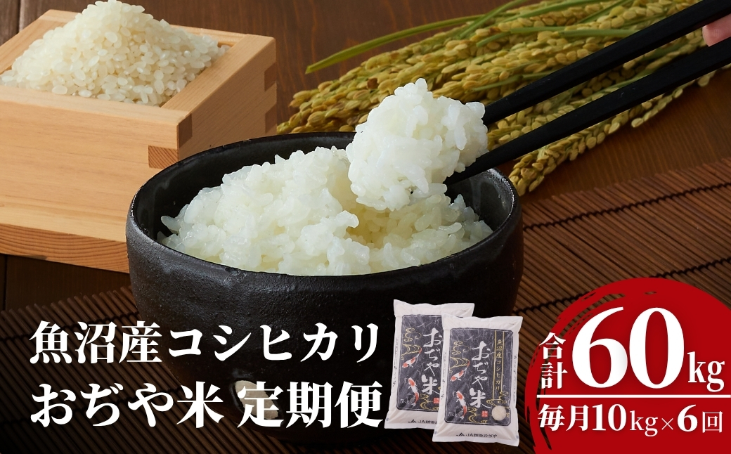 令和7年産 魚沼産コシヒカリ定期便5kg×2袋×6回（毎月お届け）JA魚沼 白米 魚沼 米 定期便