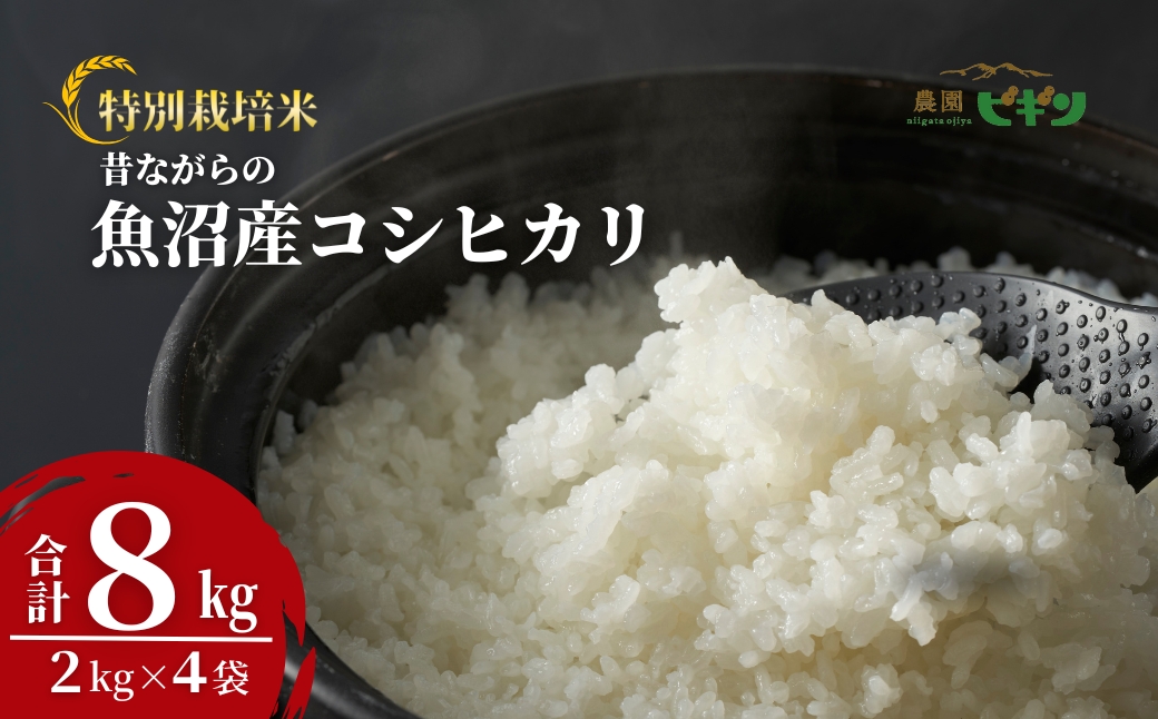 令和7年産 昔ながらの魚沼産コシヒカリ 精米8kg(2kg×4袋) 従来品種 農園ビギン 【0002-BN03-01】