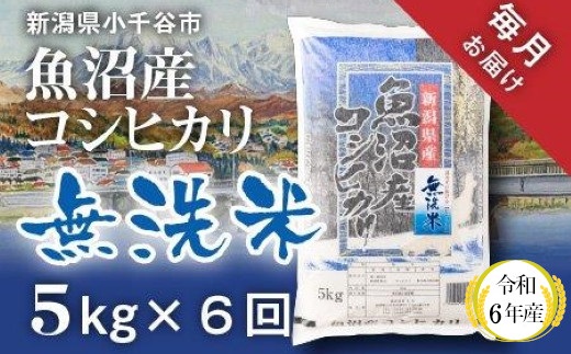 KT74P345 令和6年産 無洗米 魚沼産コシヒカリ定期便5kg×6回（毎月お届け）（米太）