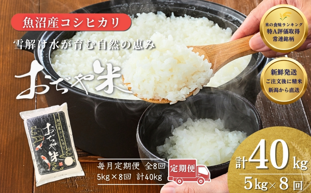 令和7年産魚沼産コシヒカリ定期便 5kg×8回（毎月お届け）（8か月連続お届け）JA魚沼 白米 魚沼 米 定期便