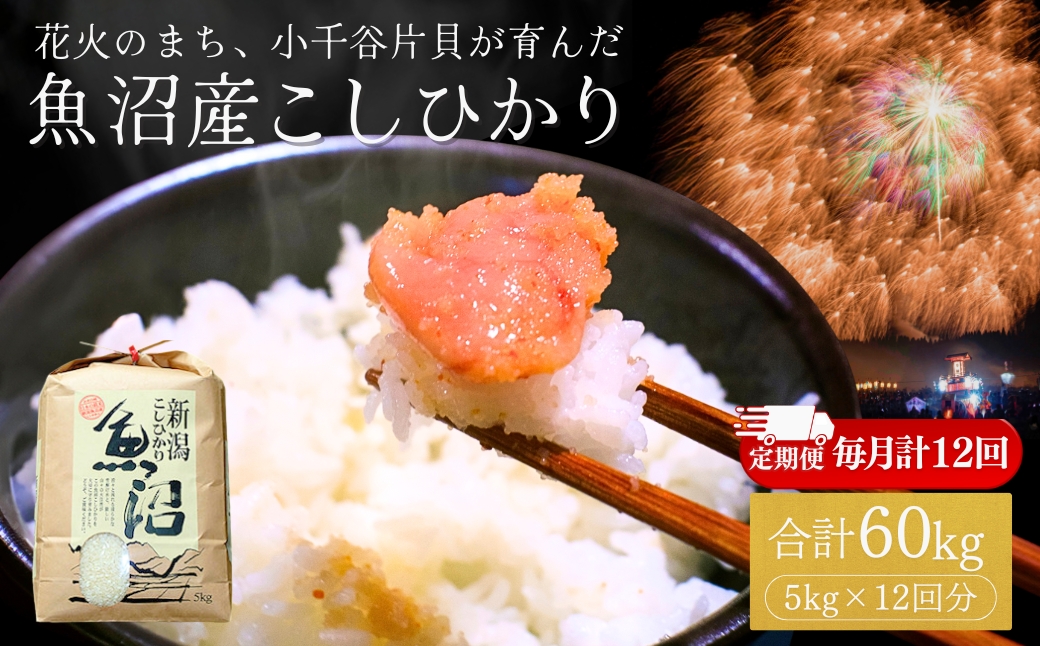 [定期便]令和7年産 魚沼産コシヒカリ 5kg×12回 (計60kg) 米萬商店 | 毎月お届け 四尺玉の町・片貝産 新潟 白米 12ヶ月コース 頒布会 産地直送 ブランド米 老舗米屋の厳選米[0002-KM11DB00-01]