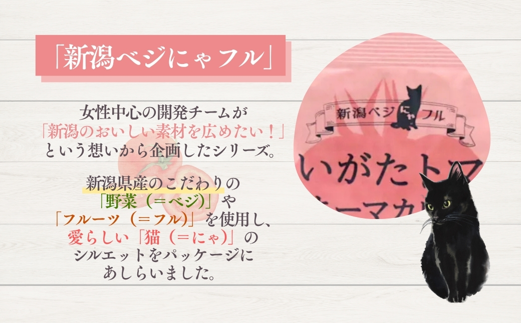 æ°æœããžã«ããã« ã«ããããããããŒãã«ã¬ãŒ 30è¢ã»ãã é¿éšå¹žè£œèã0002-0391-01ã