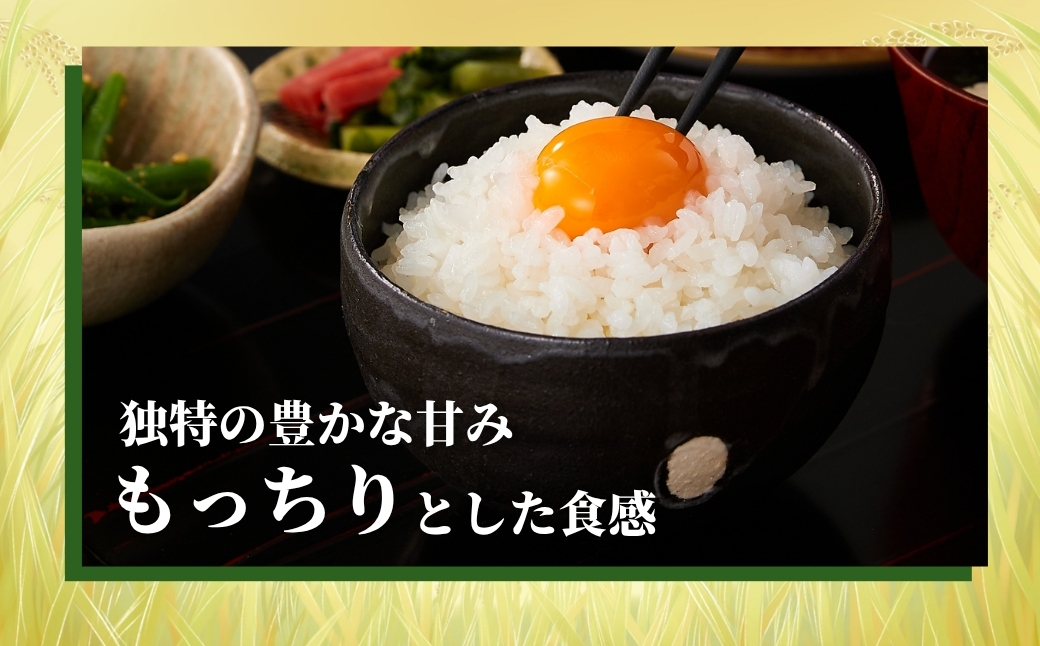 令和7年産 魚沼産コシヒカリ定期便5kg×2袋×6回（毎月お届け）JA魚沼 白米 魚沼 米 定期便