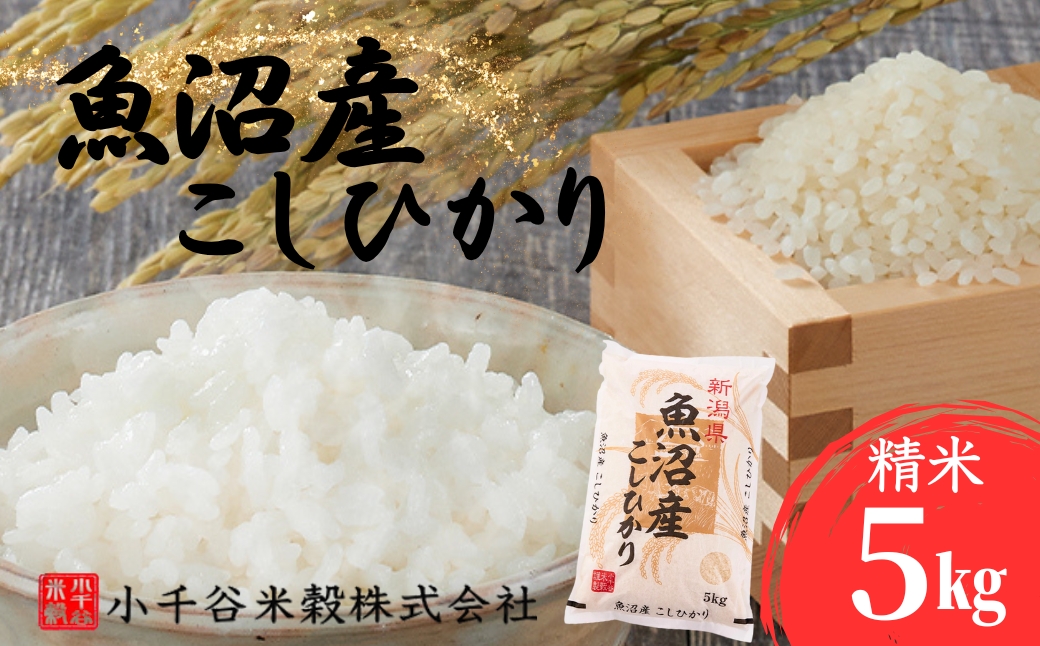 什å7å¹Žç£ éæ²Œç£ã³ã·ãã«ãª èš5kg(5kgÃ1è¢) å°åè°·ç±³ç© | æ°æœçç£ ã³ã·ãã«ãª ãç±³ ç±³ ããã ãã ã³ã¡ ããã²ãã çœç±³ 粟米 éæ²Œç£ ãã©ã³ãç±³ äººæ° ãããã ç£å°çŽé æ°æœç å°åè°·åžã0002-BE04-01ã