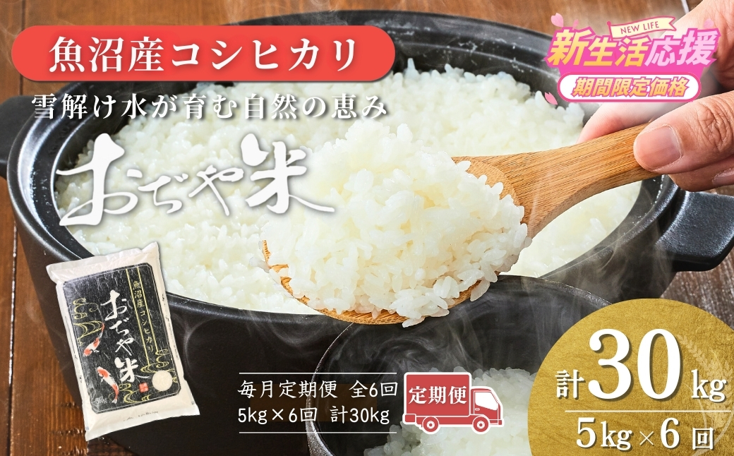 令和7年産魚沼産コシヒカリ定期便 5kg×6回（毎月お届け）（JA魚沼）白米 魚沼 米 定期便