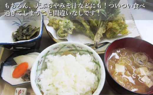 【3か月定期便】 魚沼産コシヒカリ定期便 5kg×3回／毎月 令和7年産 白米 共栄農工社【0002-KY03DB00-01】