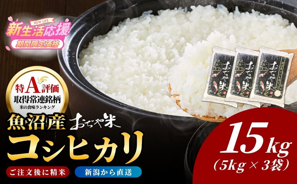 令和7年産 魚沼産コシヒカリ「おぢや米」 計15kg（5kg×3袋）JA魚沼【0002-JA14-02】