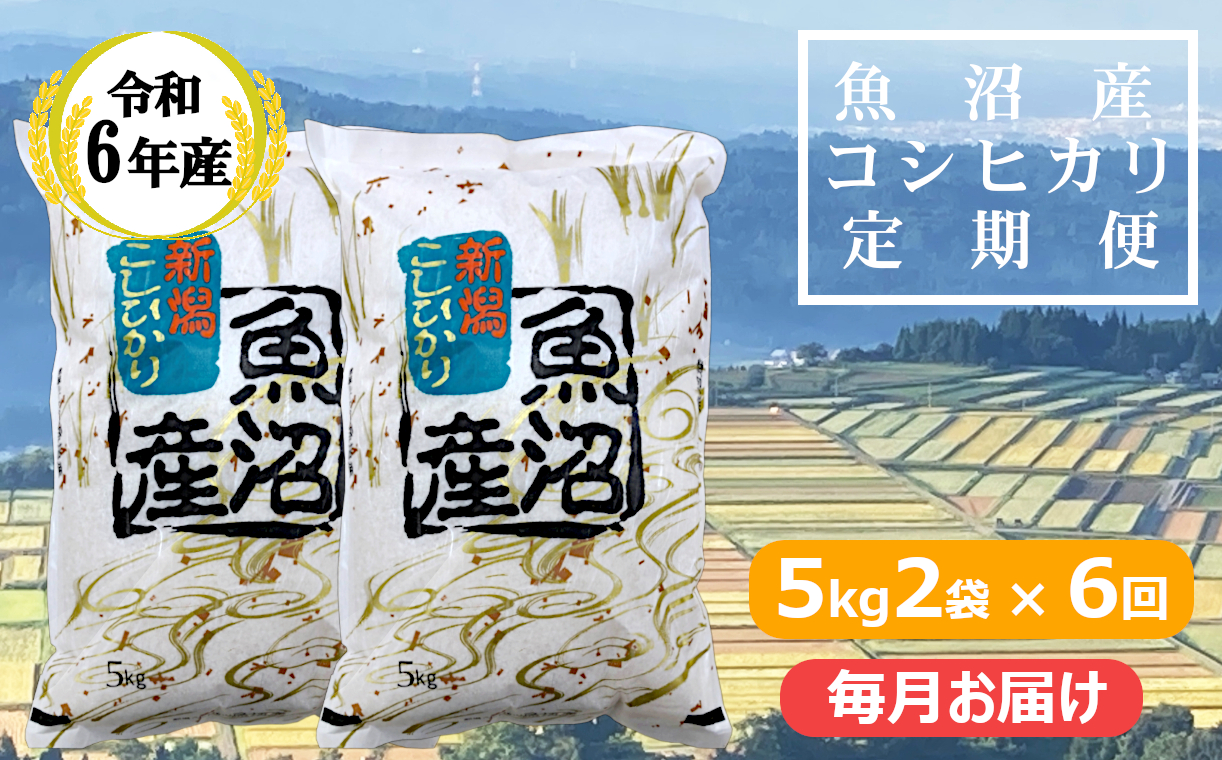 KY173P411 【共栄農工社】 令和6年産 魚沼産コシヒカリ定期便 5kg2袋×6回／毎月お届け 白米 魚沼 米 定期便