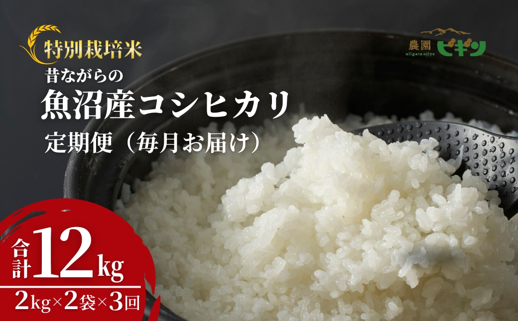 令和7年産 昔ながらの魚沼産コシヒカリ 精米12kg(2kg×2袋×毎月全3回) 農園ビギン 【0002-BN06DB00-01】