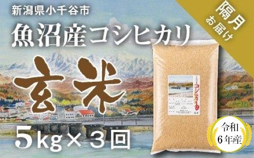 KT35P349 〔定期便 隔月〕〔玄米 選別品〕令和6年産 魚沼産コシヒカリ玄米定期便 5kg×3回【隔月お届け】（米太）