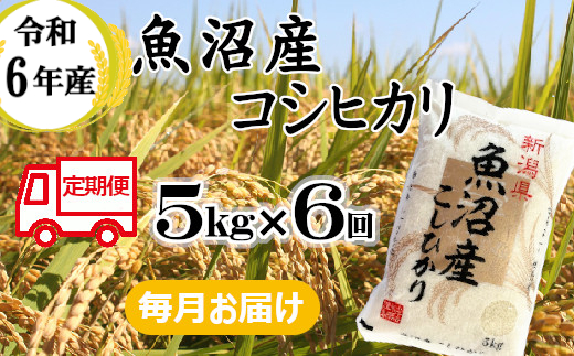 66P389BE 令和6年産 魚沼産コシヒカリ 定期便 5kg×6回【毎月お届け】（小千谷米穀）白米 魚沼 米 定期便