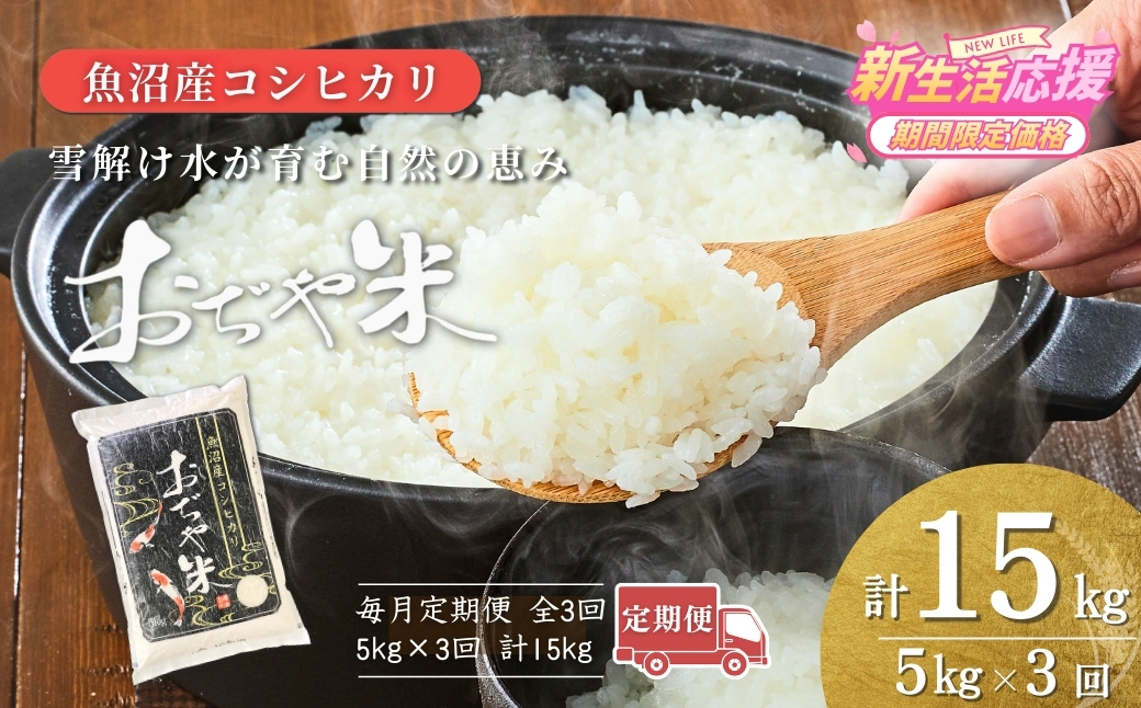 令和7年産魚沼産コシヒカリ定期便 5kg×3回（毎月お届け）（3か月連続お届け）JA魚沼