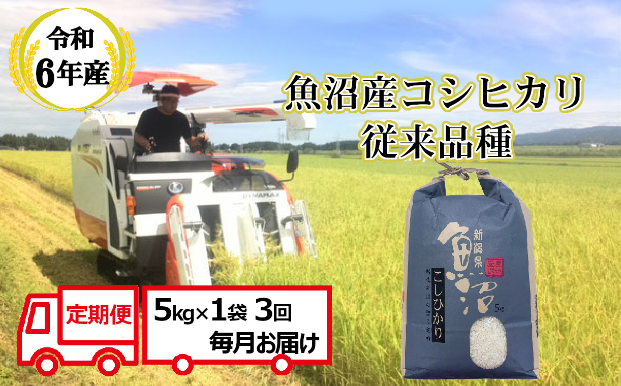 N45P482 【令和6年産 定期便】昔ながらの魚沼産コシヒカリ5kg×3回（3ヶ月連続お届け）（毎月お届け）【従来品種】農園ビギン 白米 精米 米 魚沼 魚沼産 新潟県 小千谷市