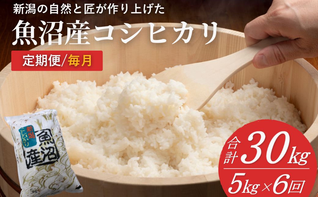 【6か月定期便】 魚沼産コシヒカリ定期便 5kg×6回／毎月 令和7年産 白米 共栄農工社【0002-KY04DB00-01】