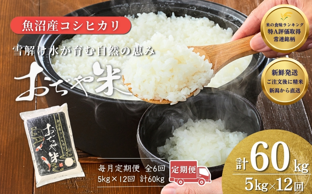 令和7年産魚沼産コシヒカリ定期便 5kg×12回（毎月お届け）（12か月連続お届け）JA魚沼 白米 魚沼 米 定期便