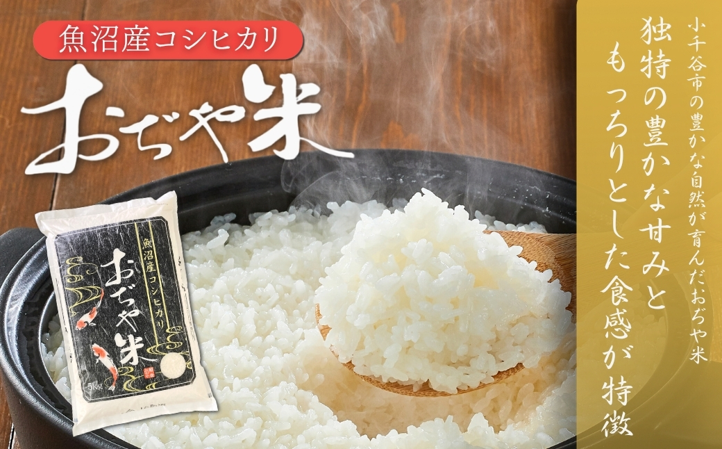 什å7å¹Žç£ éæ²Œç£ã³ã·ãã«ãª ãã©ã³ãèªèšŒç±³ãéŠã®å®ããAã©ã³ã¯ãšãã¢ãç±³ é£ã¹æ¯ã¹10kg(5kg2è¢) | æ°æœçç£ ã³ã·ãã«ãª ãç±³ ç±³ ããã²ãã ããã ãã ã³ã¡ çœç±³ 粟米 éæ²Œç£ ãã©ã³ãç±³ã0002-0399-01ã