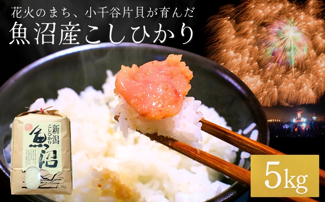 【令和7年産】魚沼産コシヒカリ5kg 世界一の四尺玉の町片貝町からお届け 白米 魚沼産 新潟県産 精米 米萬商店【0002-KM01-02】