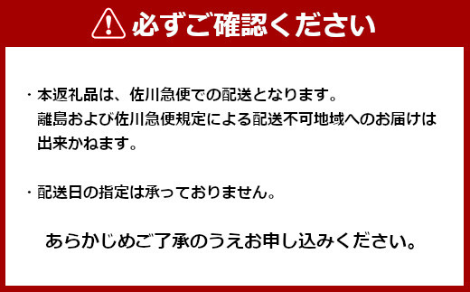 11P21 笹かぜちまき 8個セット