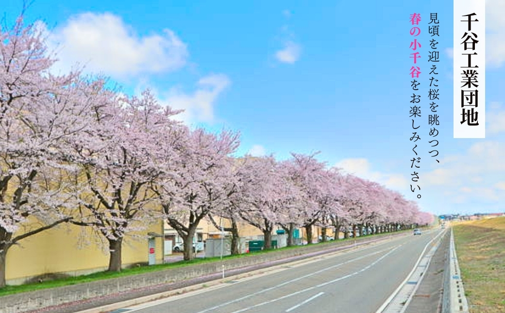 【4月19日(日)開催】中越大震災復興記念祭 ブルーインパルス 駐車チケット&小千谷市認証ブランド米「錦の実り」特A 5kgセット 【駐車エリア 千谷工業団地内】 