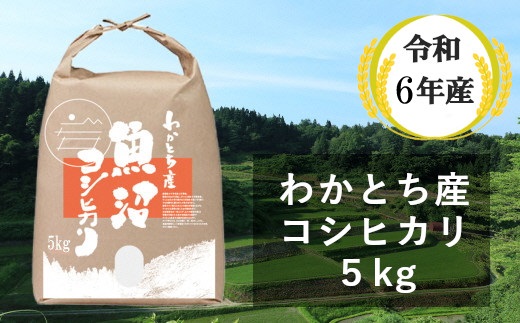 W10P150 【令和6年産】 わかとち産魚沼コシヒカリ特別栽培 棚田米 5kg