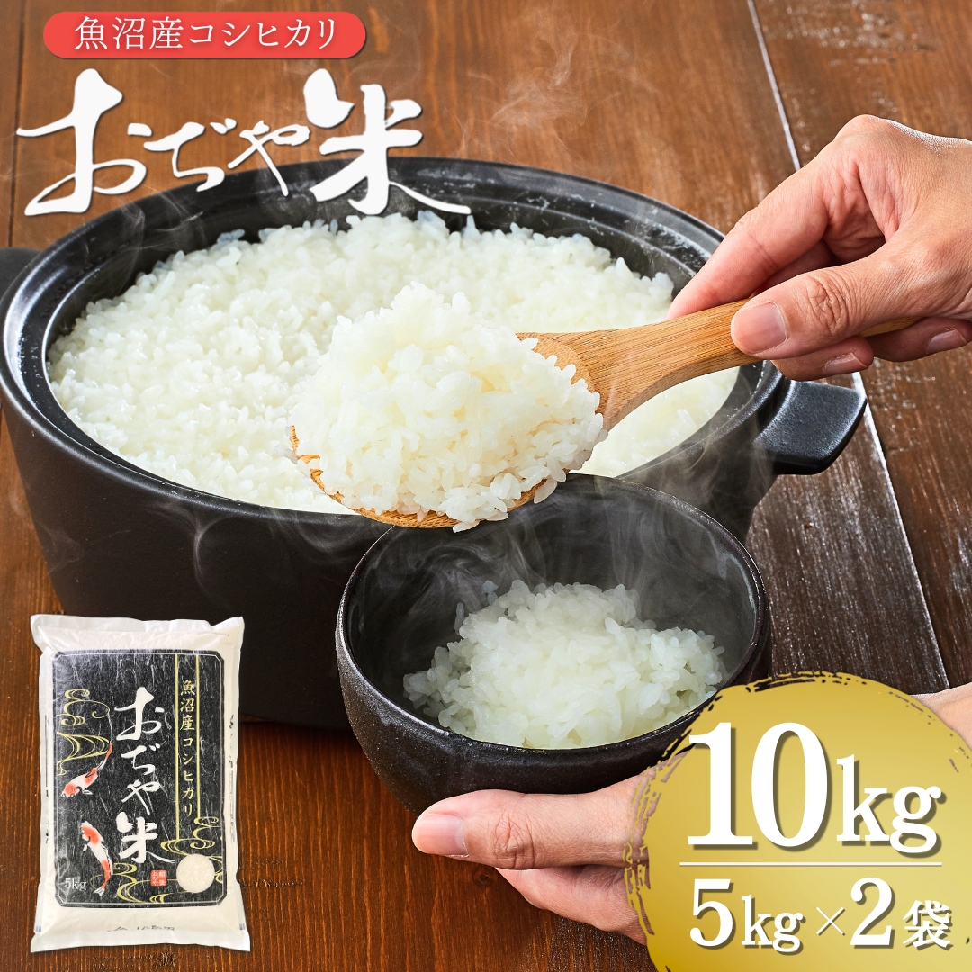 令和7年産 魚沼産コシヒカリ「おぢや米」 計10kg（5kg×2袋） クラフト袋 | 新潟県産コシヒカリ 米 お米 こめ こしひかり 魚沼産 小千谷市 白米 精米 ブランド米 【0002-JA13-01】