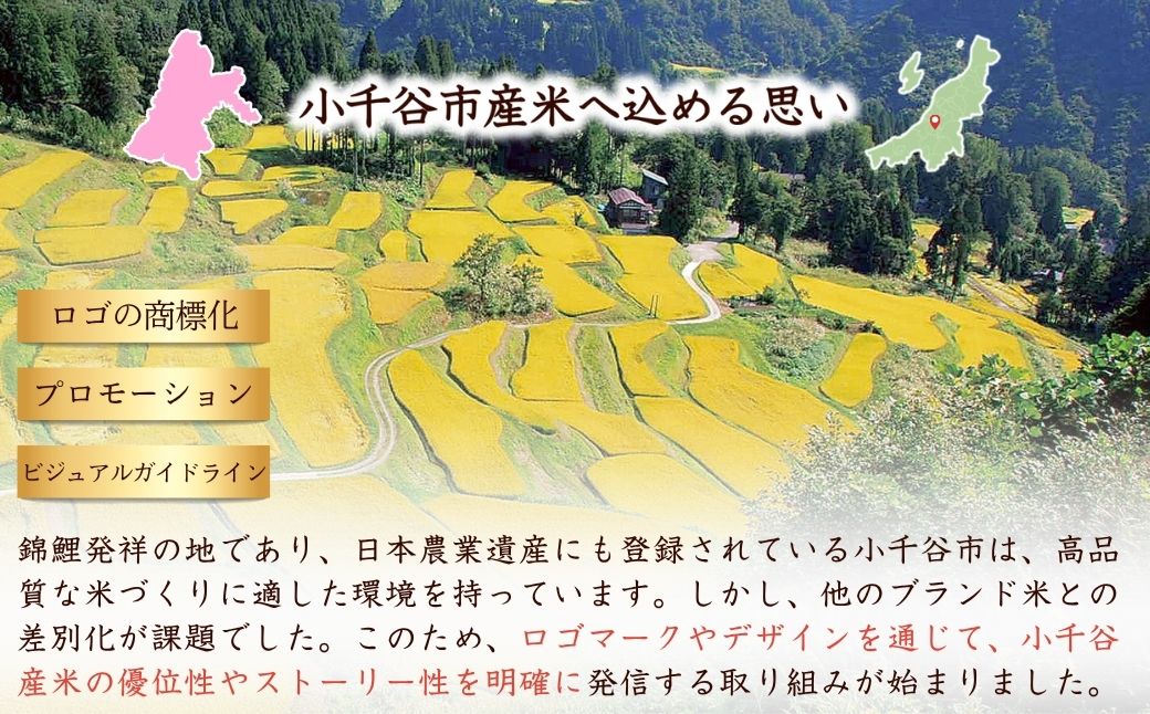 【コシヒカリ】令和7年産 魚沼産コシヒカリ 定期便 ブランド認証米 錦の実り Aランク 精米20kg (5kg×2袋×毎月全2回)  農薬化学肥料肥料5割減 品質管理 | 特A評価 新潟産コシヒカリ 新潟県産コシヒカリ 魚沼産こしひかり 米 お米 こしひかり 白米 精米 ブランド米【0002-OBa18DB00】