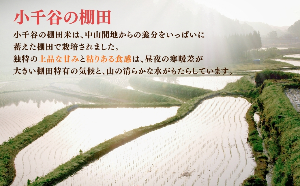 令和7年産 魚沼産コシヒカリ おぢや棚田米コンテスト入賞者の栽培した棚田米 精米45kg（5kg×9回）定期便毎月発送【0002-RC06DB00-02】