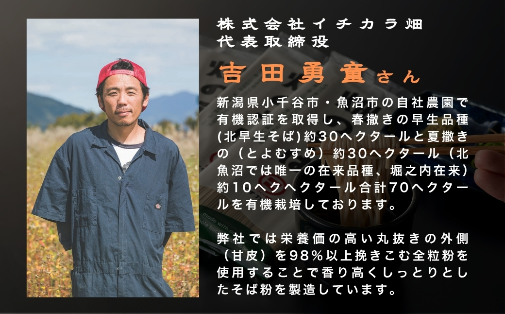【安心の有機JAS認証】有機そば全粒粉100％使用 グルテンフリー 十割そば 乾麺 180g×12個セット(オーガニック・無農薬栽培) イチカラ畑 【0021-0004-01】