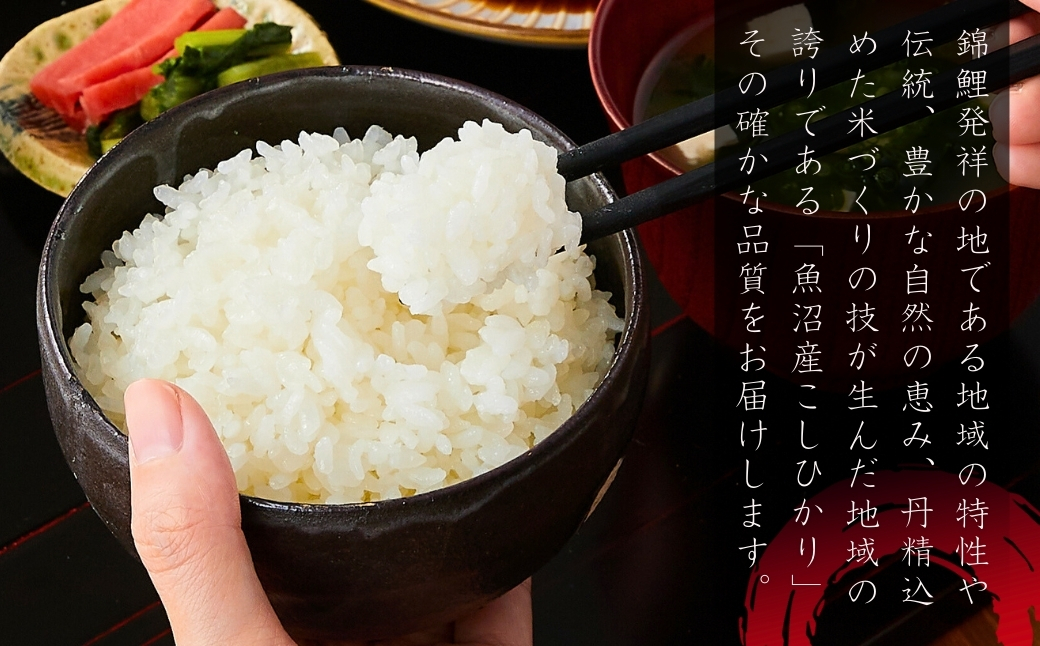 【令和7年産】魚沼産コシヒカリ 15kg (5kg×3袋) 米萬商店 | 新潟県産 白米 精米 産地直送 小分け 四尺玉花火の町 片貝産 老舗米屋の厳選米【0002-KM10-01】